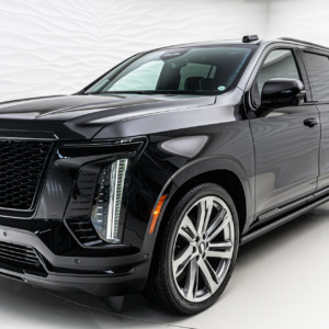 ESV*Sport Platinum*Executive Second Row